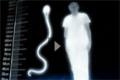 Viaggio dello sperma: trailer del documentario di National Geographic 