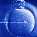 Embrioni congelati, dal Veneto la prima richiesta di adozione