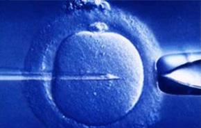 Paternit Oggi - Embrioni congelati, dal Veneto la prima richiesta di adozione